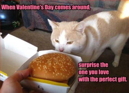 cat burger.jpeg