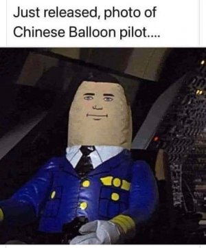 pilot.jpg