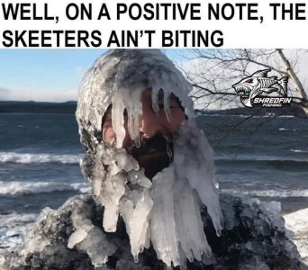 skeeters.jpg