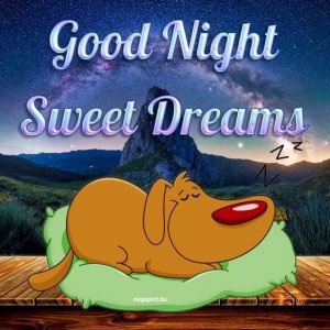 0b42a5348bf25f9d5313fc3df8a78f32[1].jpg
