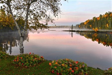 fall-2867241__480.jpg