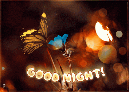 good-night-gif-9.gif
