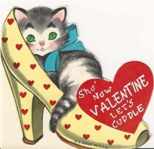 cat in shoe.jpg