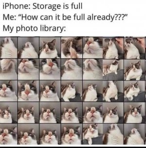 328515223_475599458114787_4176852455227074502_n.jpg