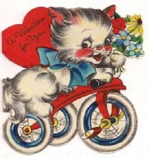 cat on trike.jpg