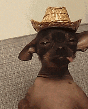 tequila-drunk.gif