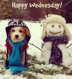 happy wednesday.jpg