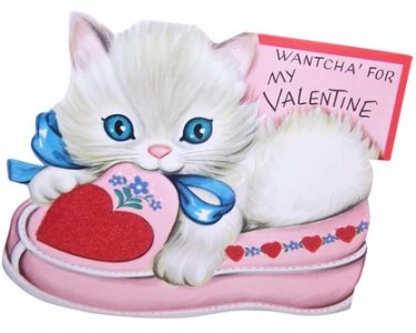 cat slipper.jpg