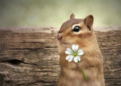welcome-spring-lori-deiter.jpg
