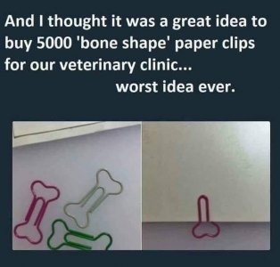 bone shaped paper clips.jpg