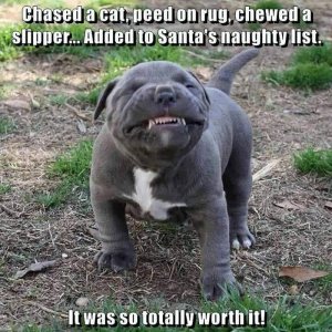 FB_IMG_1675812907677.jpg