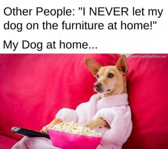 FB_IMG_1675820947877.jpg