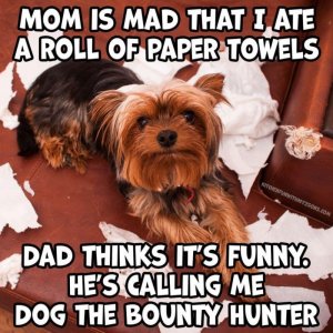 13769BAA-2FCD-4D8F-A327-1A11A8F86404.jpeg