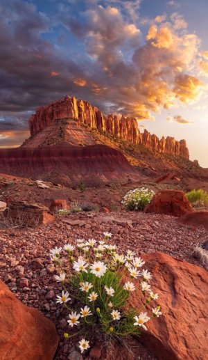 2020.5_Escalante_368_pano_web.jpg