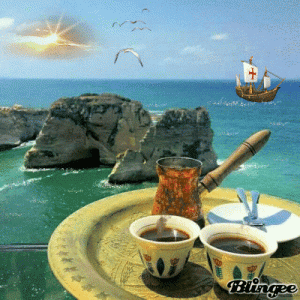 AA13C14F-FF31-4D57-A9C6-472533E85FDE.gif