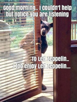 Zeppelin @.jpg