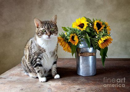 cat-and-sunflowers-nailia-schwarz.jpg