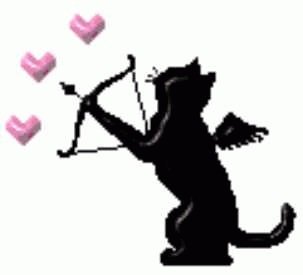 CATCUPID.jpg