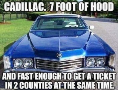 FB_IMG_1676000519909.jpg
