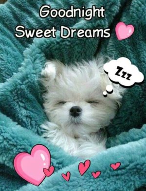 83cfb981c1b52cc32372f280a8bd46de.jpg