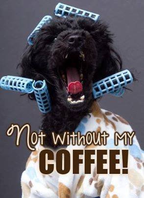 coffee6.jpg