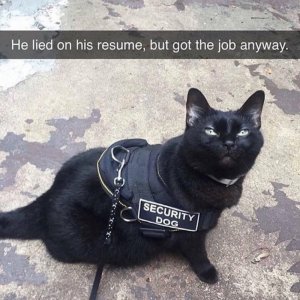 D6E8AE24-808A-4E02-9BBF-97D00F44C47E.jpeg