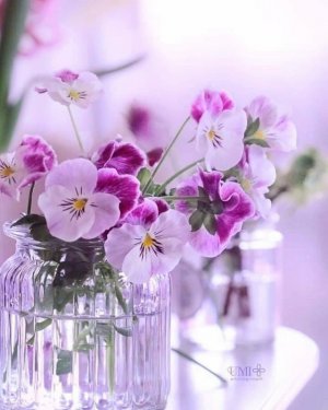 tumblr_e98fa1600ef2b88e0cb2107d0e393cf0_9b6bc522_1280.jpg