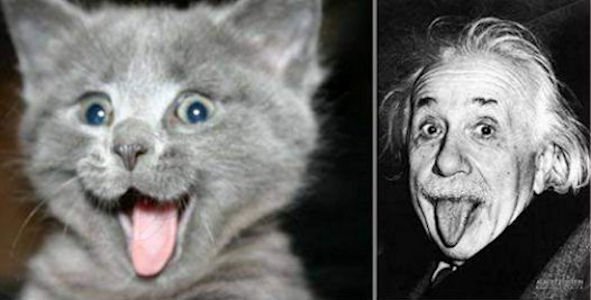 Likeness @.jpg