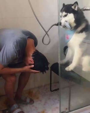 funny-unexplainable-pictures-7-61a0b364e32e2__700.jpg