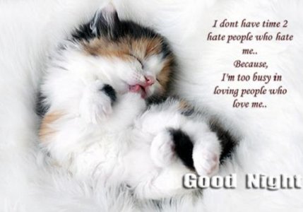 cute-good-night-quotes.jpg