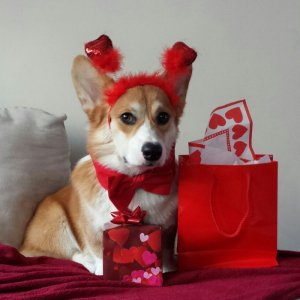 52E8165B-7333-43F0-87DA-54E3E5DA25D6.jpeg