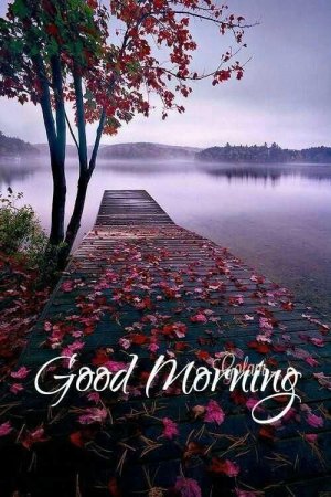 6cb1b5a63eca5ba121c1ee09d41d0ef9.jpg