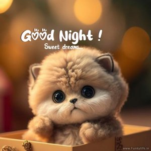 good-morning-image-by-funkylife-357.jpg