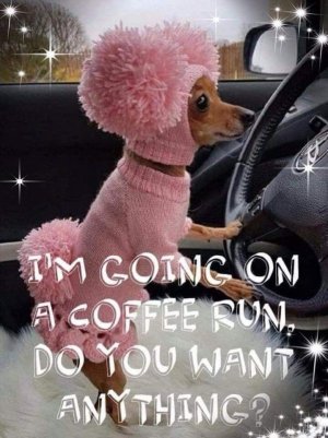 1D998522-A10C-4DAA-AF5E-DCBC2E9D3B72.jpeg