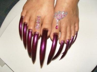 Toenails.jpg