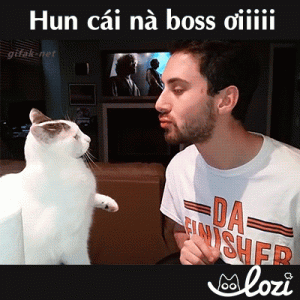 giphy (1).gif