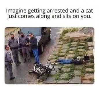 Arrested.jpeg