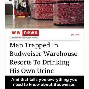 Budwiser.jpg