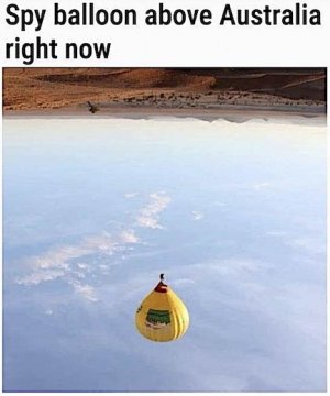 Unknown.jpeg