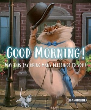 93662CB8-EC3D-4782-82BD-20ECF8D3D1E6.jpeg