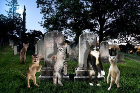 Zombies @.jpg