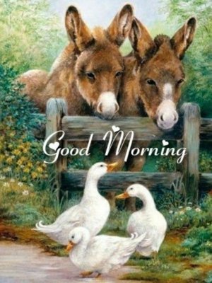 1f80f99b0f18d57c2414aa8a84c22476[1].jpg