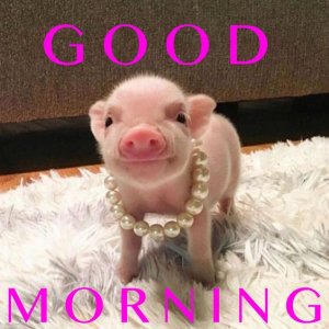 a45f97aab95949b5afa3d3cfcd8dcd2d[1].jpg
