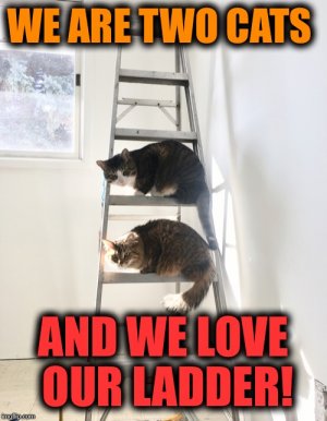 2zve7d.jpg
