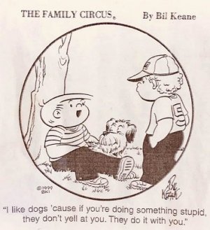 dogs.jpg