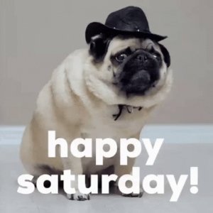 46DB5D96-412E-43E5-B9D4-6878237B9200.jpeg
