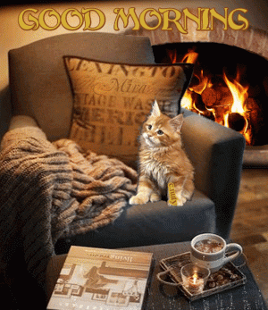 106AFB50-F22A-4870-BED8-6527840E079B.gif