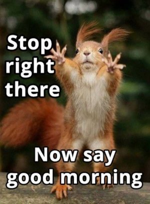 stop.jpg