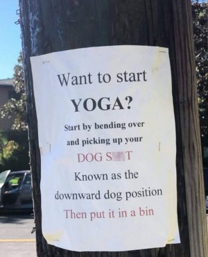 yoga.jpg