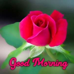Easily-Downloadable-Good-Morning-love-images.jpg